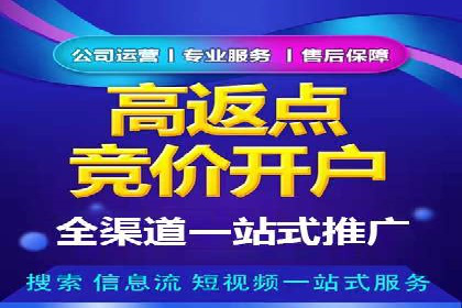 案例展示：SEM账户托管服务成果